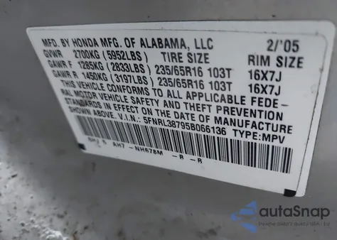 2005 Honda Odyssey Ex-L z USA, uszkodzony, nr VIN 5FNRL38795B066136